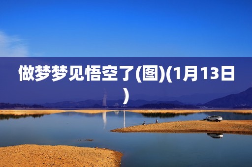 详细阅读:做梦梦见悟空了(图)(1月13日) 做梦梦见悟空了(图)(1月13日)