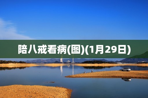 详细阅读:陪八戒看病(图)(1月29日) 陪八戒看病(图)(1月29日)