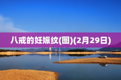 八戒的妊娠纹(图)(2月29日)