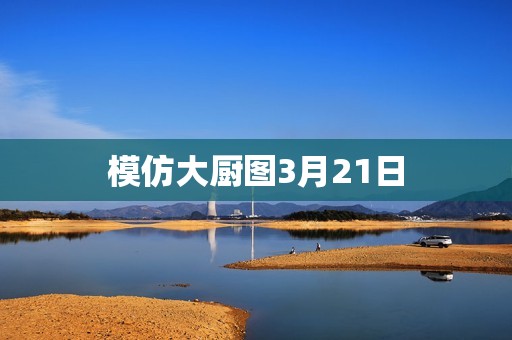 模仿大厨图3月21日