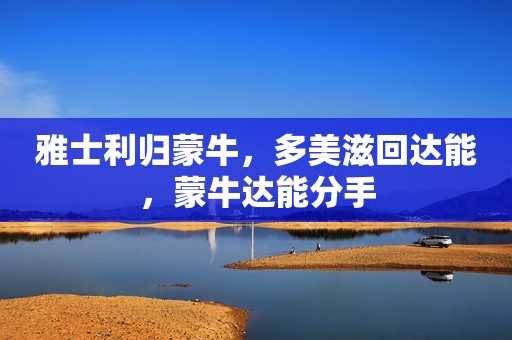 雅士利归蒙牛，多美滋回达能，蒙牛达能分手