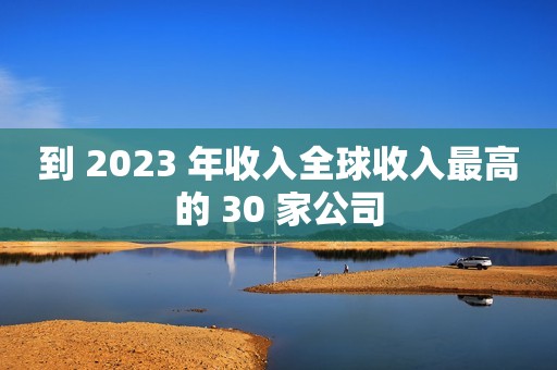 到 2023 年收入全球收入最高的 30 家公司