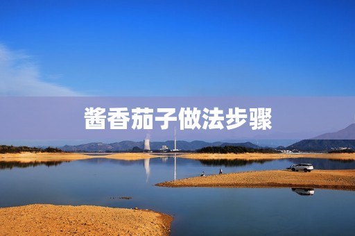 酱香茄子做法步骤