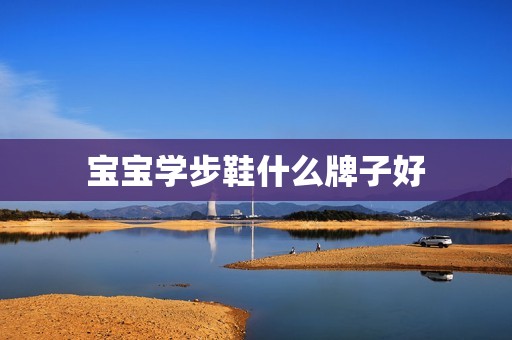 宝宝学步鞋什么牌子好