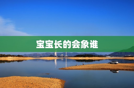 宝宝长的会象谁