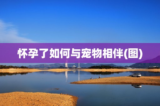 怀孕了如何与宠物相伴(图)