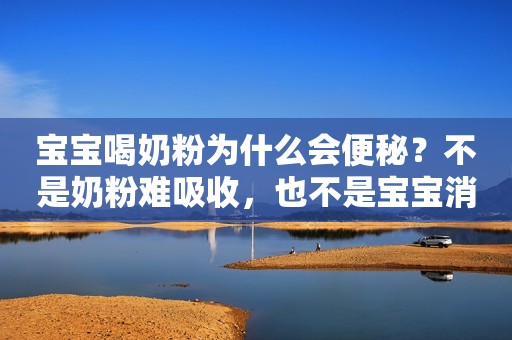 详细阅读:宝宝喝奶粉为什么会便秘?不是奶粉难吸收,也不是宝宝消化能力差 宝宝喝奶粉为什么会便秘?不是奶粉难吸收,也不是宝宝消化能力差