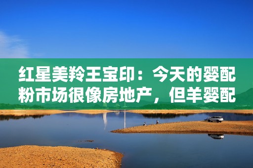 红星美羚王宝印：今天的婴配粉市场很像房地产，但羊婴配粉迎来了新风口！
