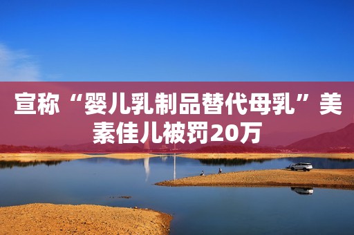 宣称“婴儿乳制品替代母乳”美素佳儿被罚20万