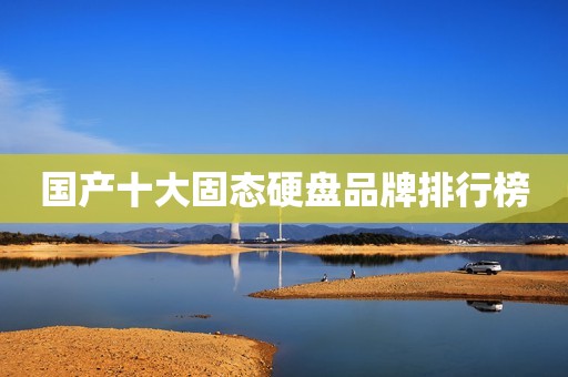 国产十大固态硬盘品牌排行榜