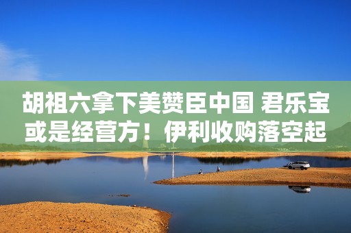 胡祖六拿下美赞臣中国 君乐宝或是经营方！伊利收购落空起码一个跌停？新浪财经2021-06-06 13:29