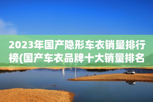 2023年国产隐形车衣销量排行榜(国产车衣品牌十大销量排名)