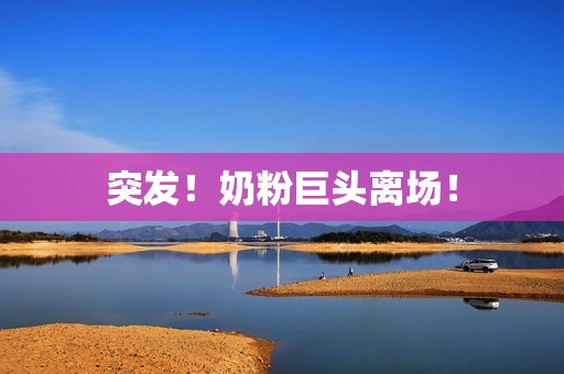 突发！奶粉巨头离场！