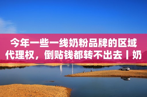今年一些一线奶粉品牌的区域代理权，倒贴钱都转不出去丨奶粉大会高光