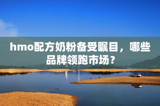hmo配方奶粉备受瞩目，哪些品牌领跑市场？