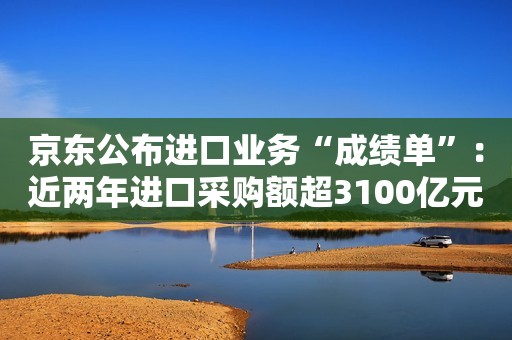 京东公布进口业务“成绩单”：近两年进口采购额超3100亿元