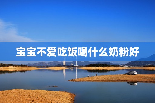 宝宝不爱吃饭喝什么奶粉好