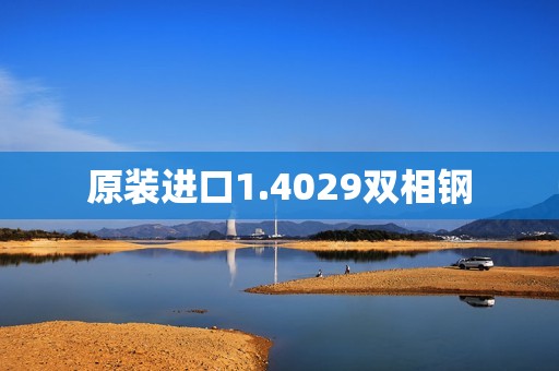 原装进口1.4029双相钢