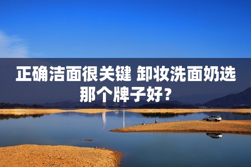 正确洁面很关键 卸妆洗面奶选那个牌子好？