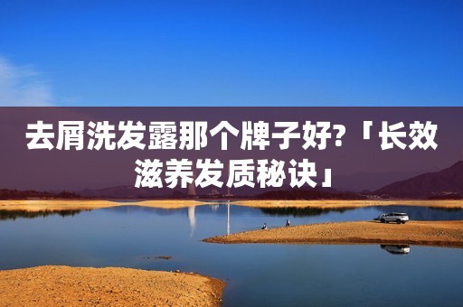 去屑洗发露那个牌子好?「长效滋养发质秘诀」