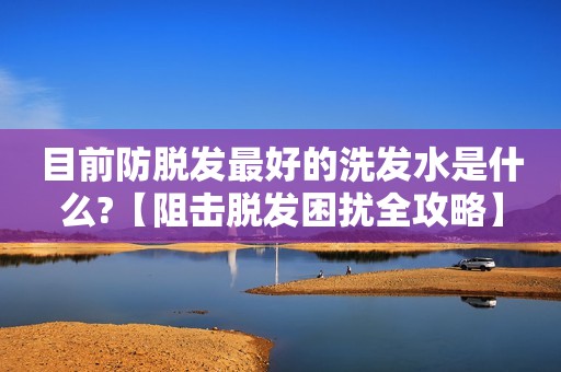 目前防脱发最好的洗发水是什么?【阻击脱发困扰全攻略】