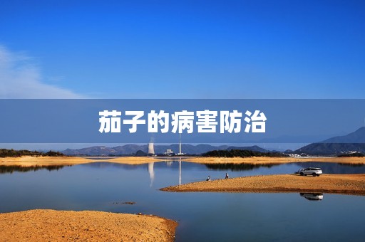 茄子的病害防治