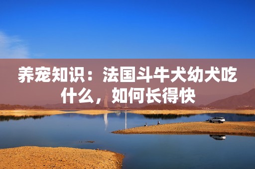 养宠知识：法国斗牛犬幼犬吃什么，如何长得快