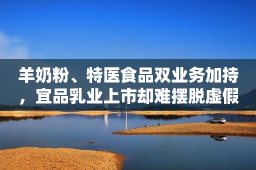 羊奶粉、特医食品双业务加持，宜品乳业上市却难摆脱虚假宣传疑云