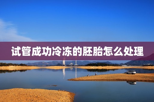 试管成功冷冻的胚胎怎么处理
