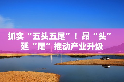 抓实“五头五尾”！昂“头” 延“尾”推动产业升级