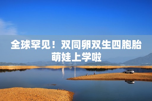 全球罕见！双同卵双生四胞胎萌娃上学啦