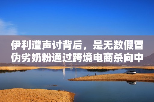 伊利遭声讨背后，是无数假冒伪劣奶粉通过跨境电商杀向中国家庭！电商报2020-05-27 09:14