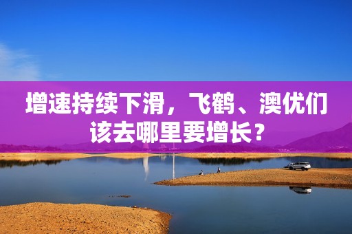 增速持续下滑，飞鹤、澳优们该去哪里要增长？