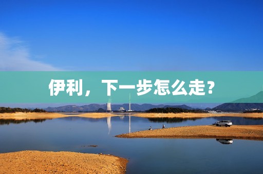 伊利，下一步怎么走？
