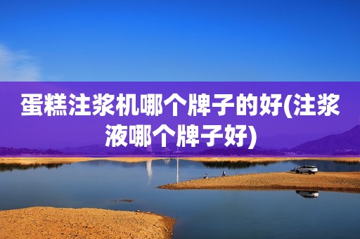蛋糕注浆机哪个牌子的好(注浆液哪个牌子好)