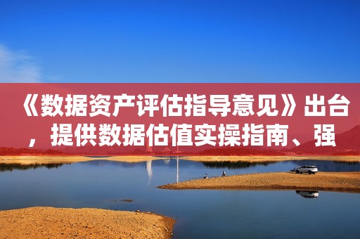 《数据资产评估指导意见》出台，提供数据估值实操指南、强调质量评价