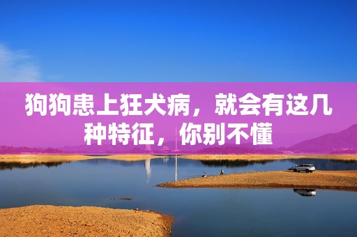 狗狗患上狂犬病，就会有这几种特征，你别不懂