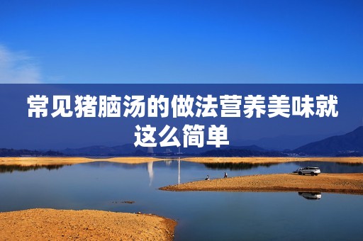 常见猪脑汤的做法营养美味就这么简单