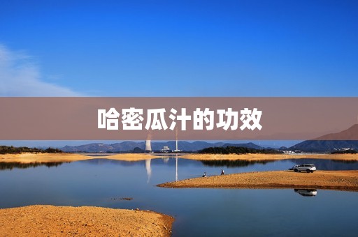 哈密瓜汁的功效