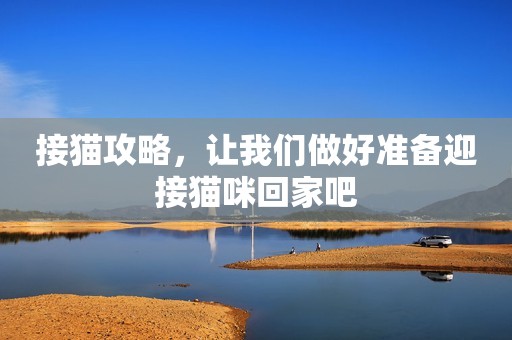 接猫攻略，让我们做好准备迎接猫咪回家吧