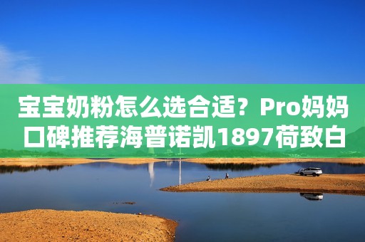 宝宝奶粉怎么选合适？Pro妈妈口碑推荐海普诺凯1897荷致白金版商丘网2023-09-15 22:46