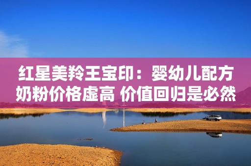 红星美羚王宝印：婴幼儿配方奶粉价格虚高 价值回归是必然趋势证券日报2020-12-06 17:01