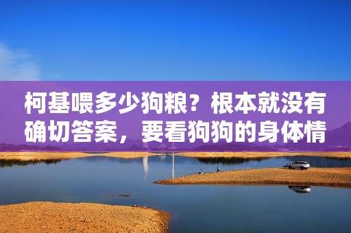 柯基喂多少狗粮？根本就没有确切答案，要看狗狗的身体情况