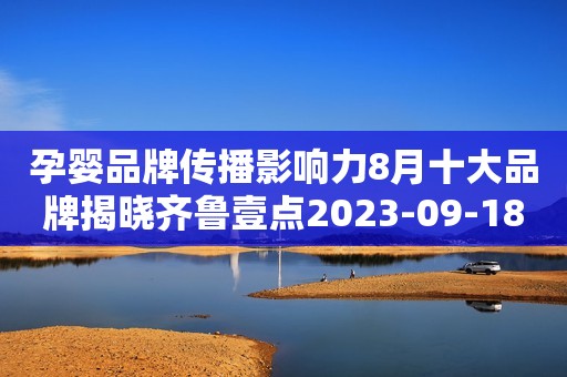 孕婴品牌传播影响力8月十大品牌揭晓齐鲁壹点2023-09-18 18:13