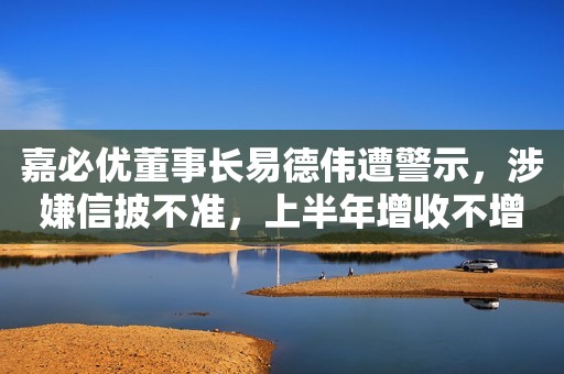 嘉必优董事长易德伟遭警示，涉嫌信披不准，上半年增收不增利