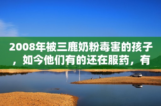 2008年被三鹿奶粉毒害的孩子，如今他们有的还在服药，有的已去世