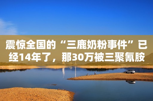 震惊全国的“三鹿奶粉事件”已经14年了，那30万被三聚氰胺毒害的“大头娃娃”怎么样了？