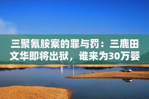 三聚氰胺案的罪与罚：三鹿田文华即将出狱，谁来为30万婴儿负责？