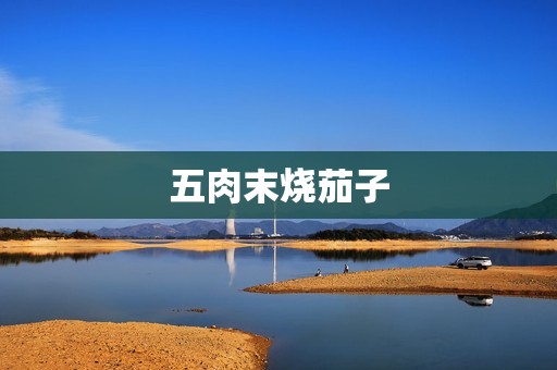 五肉末烧茄子