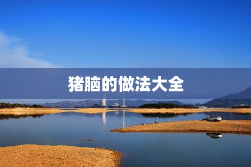 猪脑的做法大全